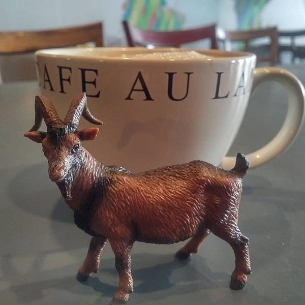 Photo credit: nextdoor