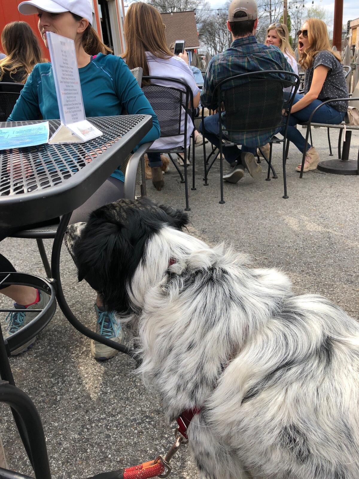 Photo credit: nextdoor