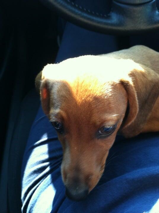 Photo credit: nextdoor