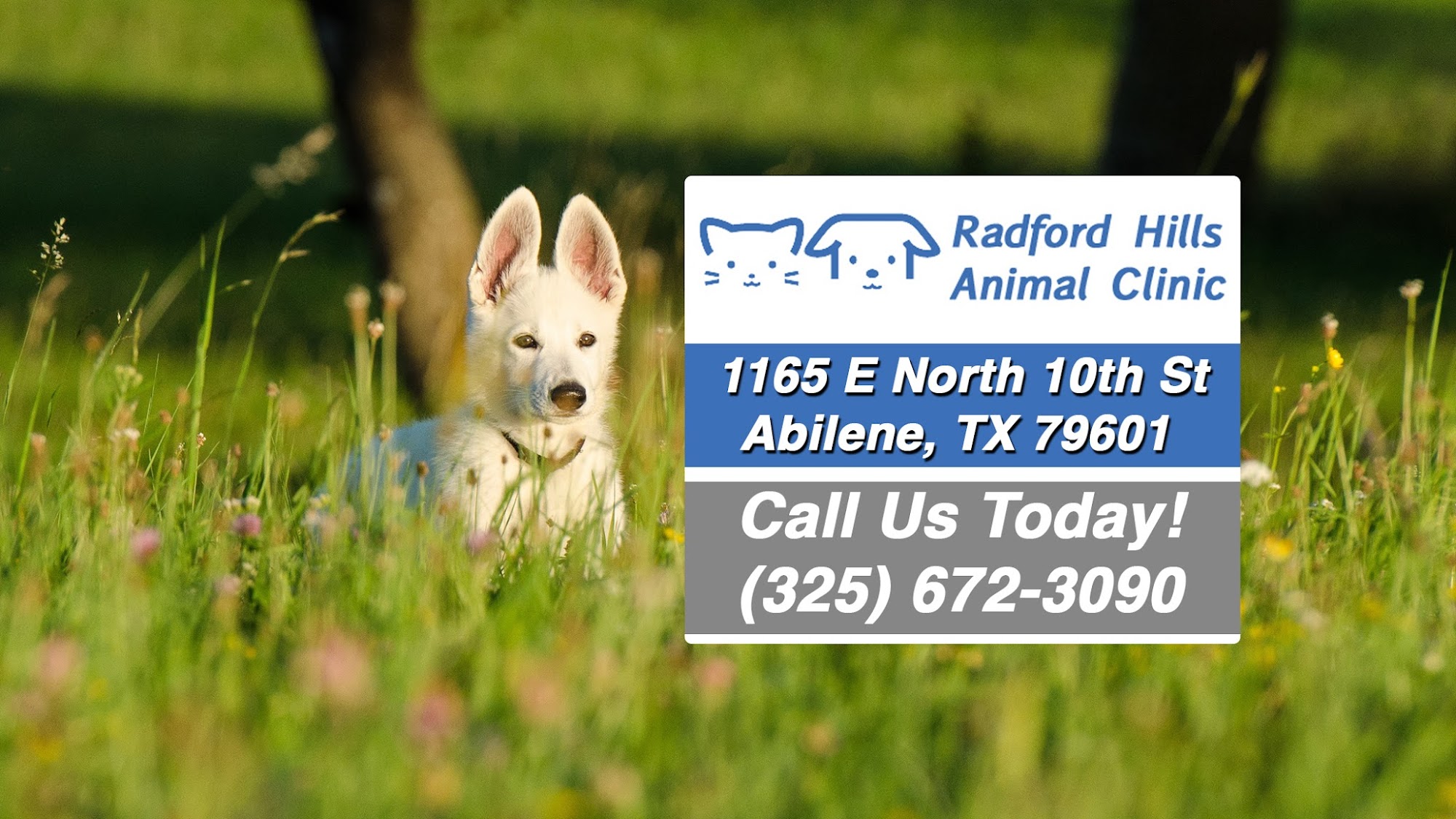 Radford Hills Animal Clinic