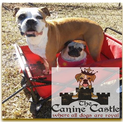 The Canine Castle LLC (of Alvin, Texas)
