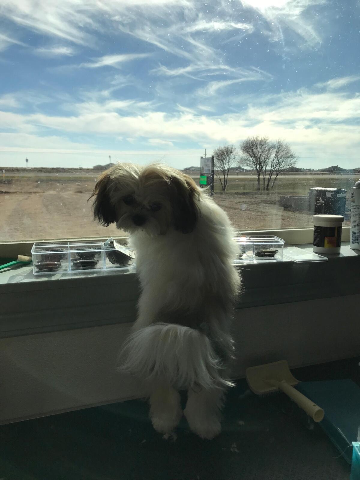 Photo credit: nextdoor