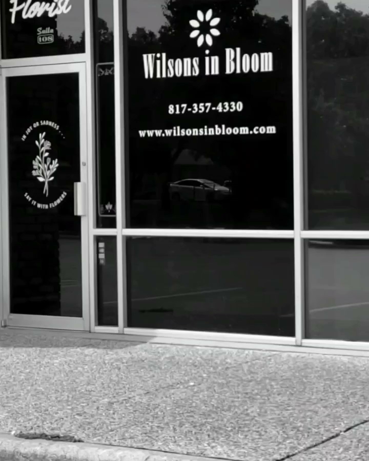 Wilsons In Bloom Florist