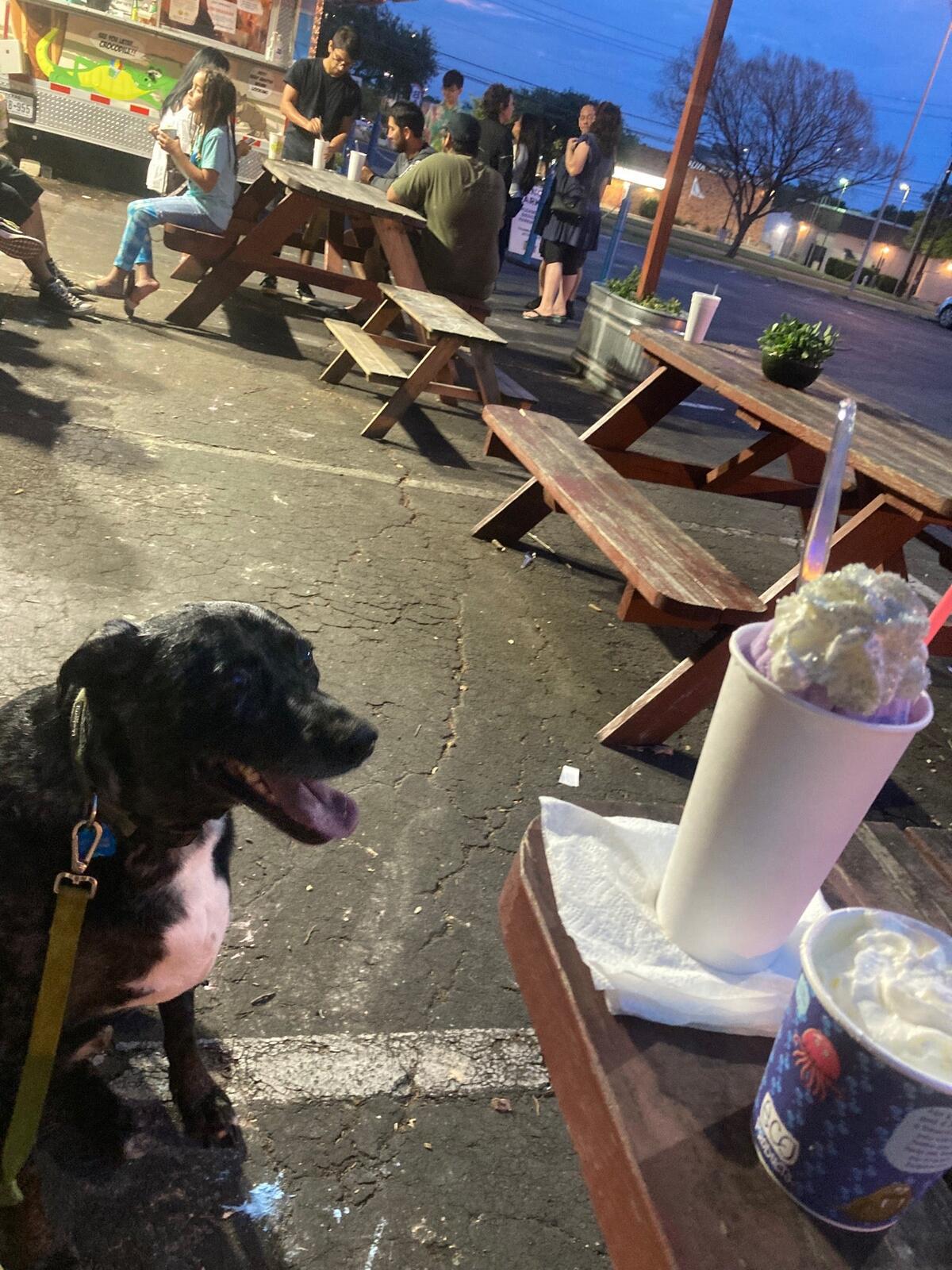 Photo credit: nextdoor