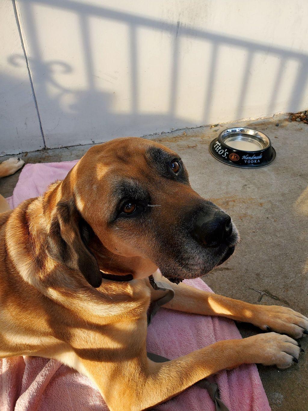 Photo credit: happycow