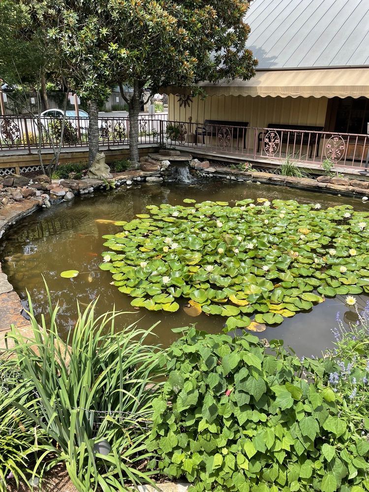 The 15 Best Restaurants In Boerne Tx - Dec 2021 Selection By Restaurantji