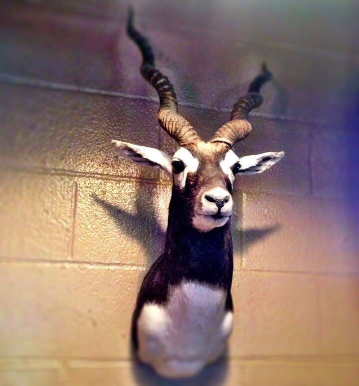 Photo credit: nextdoor