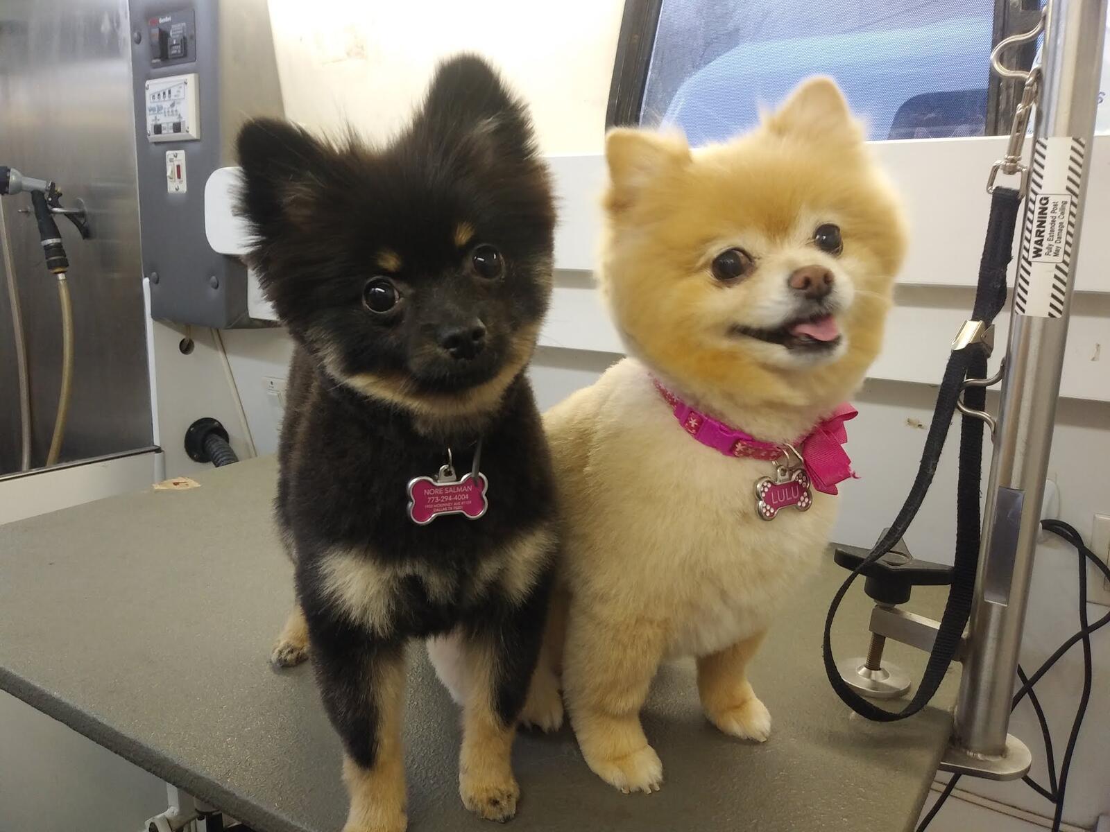 Photo credit: nextdoor