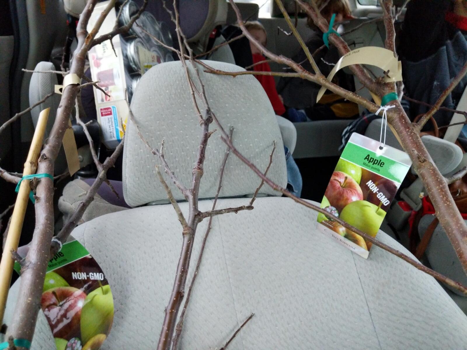 Photo credit: nextdoor