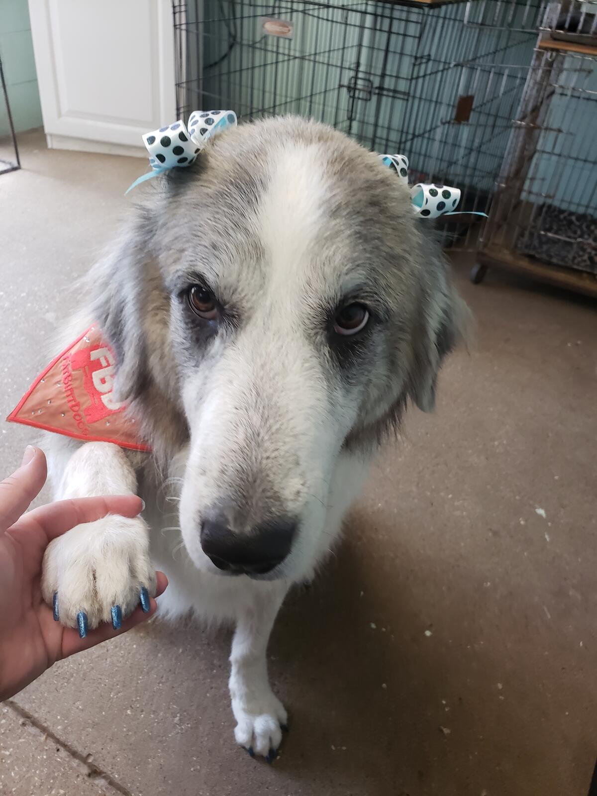 Photo credit: nextdoor