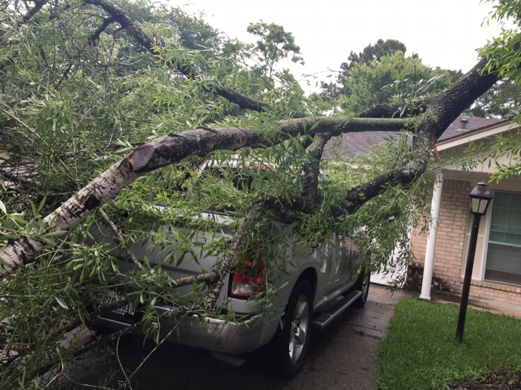 Photo credit: angi