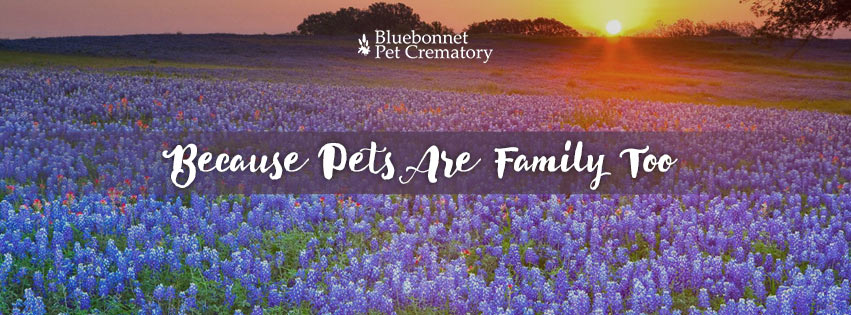 Bluebonnet Pet Crematory