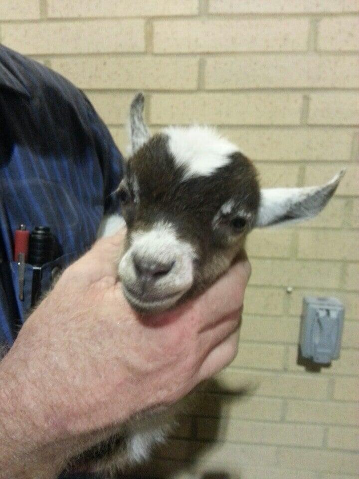 Photo credit: nextdoor