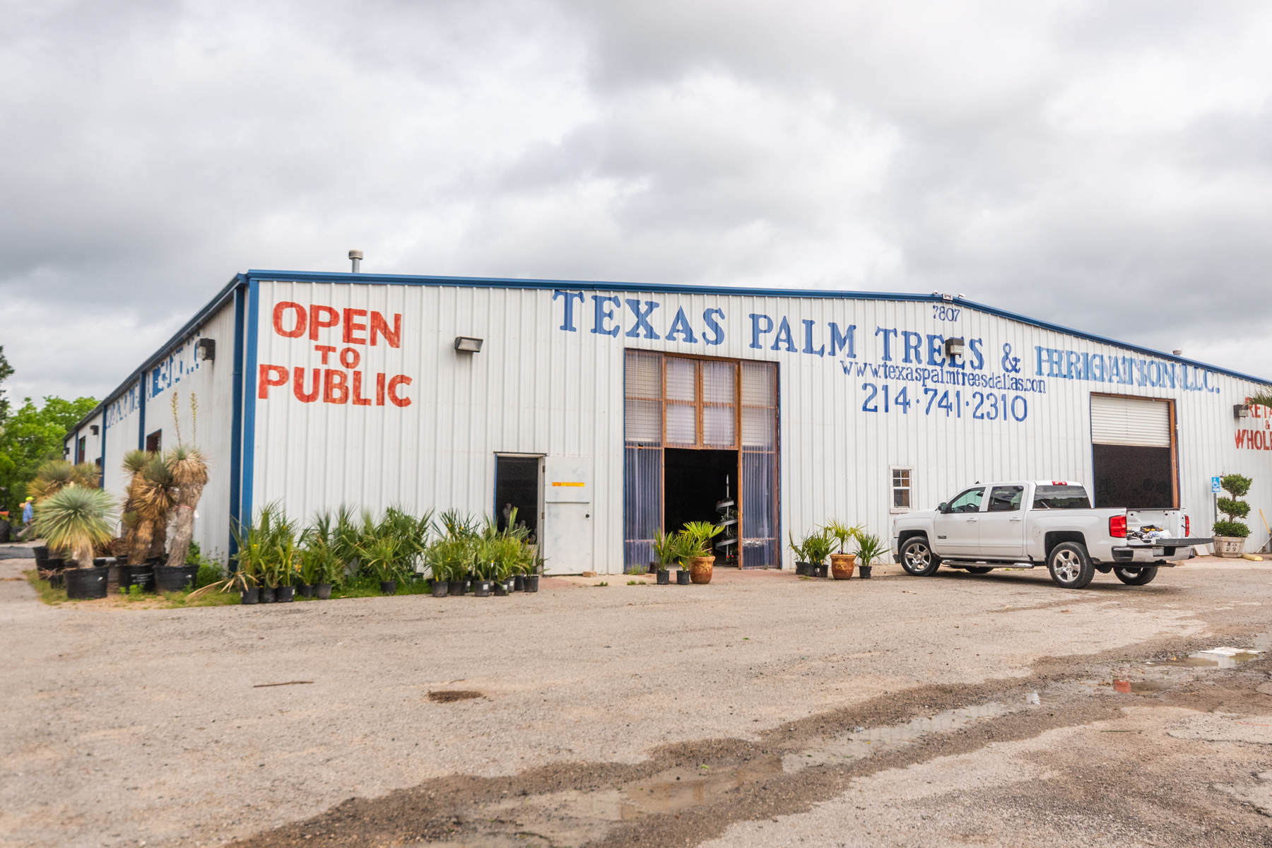 Texas Palm Trees and Irrigation LLC