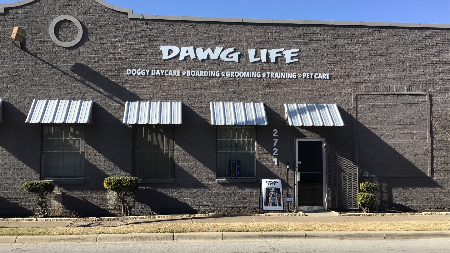 Dawg Life Doggy Daycare Center