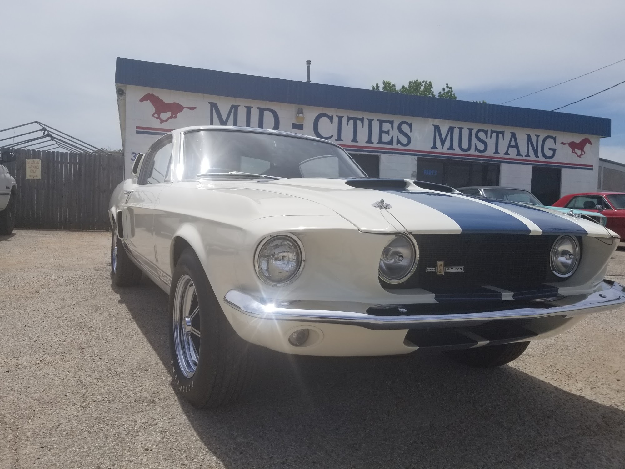 Mid-Cities Mustang