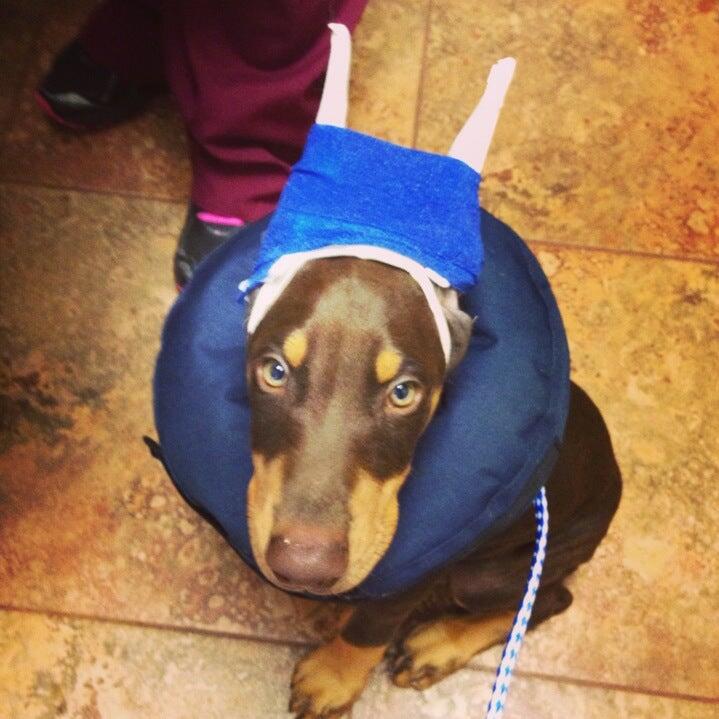 Photo credit: nextdoor