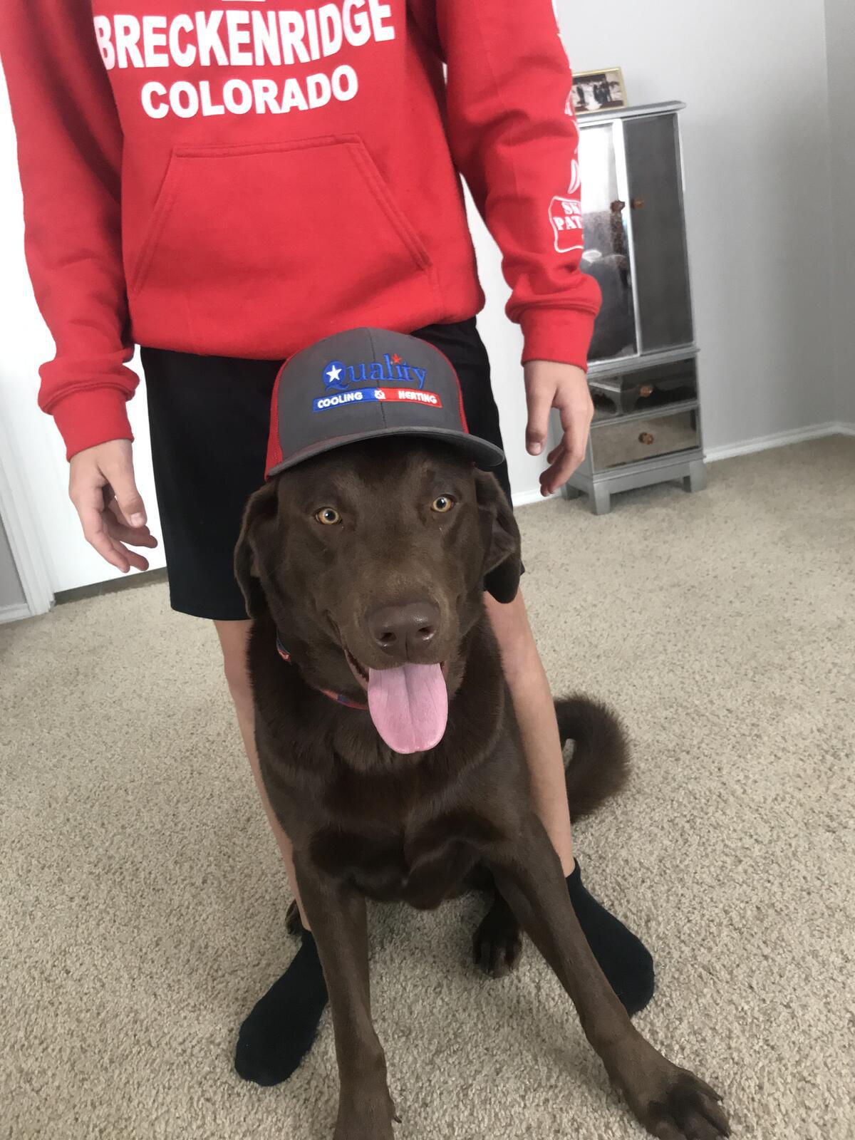 Photo credit: nextdoor