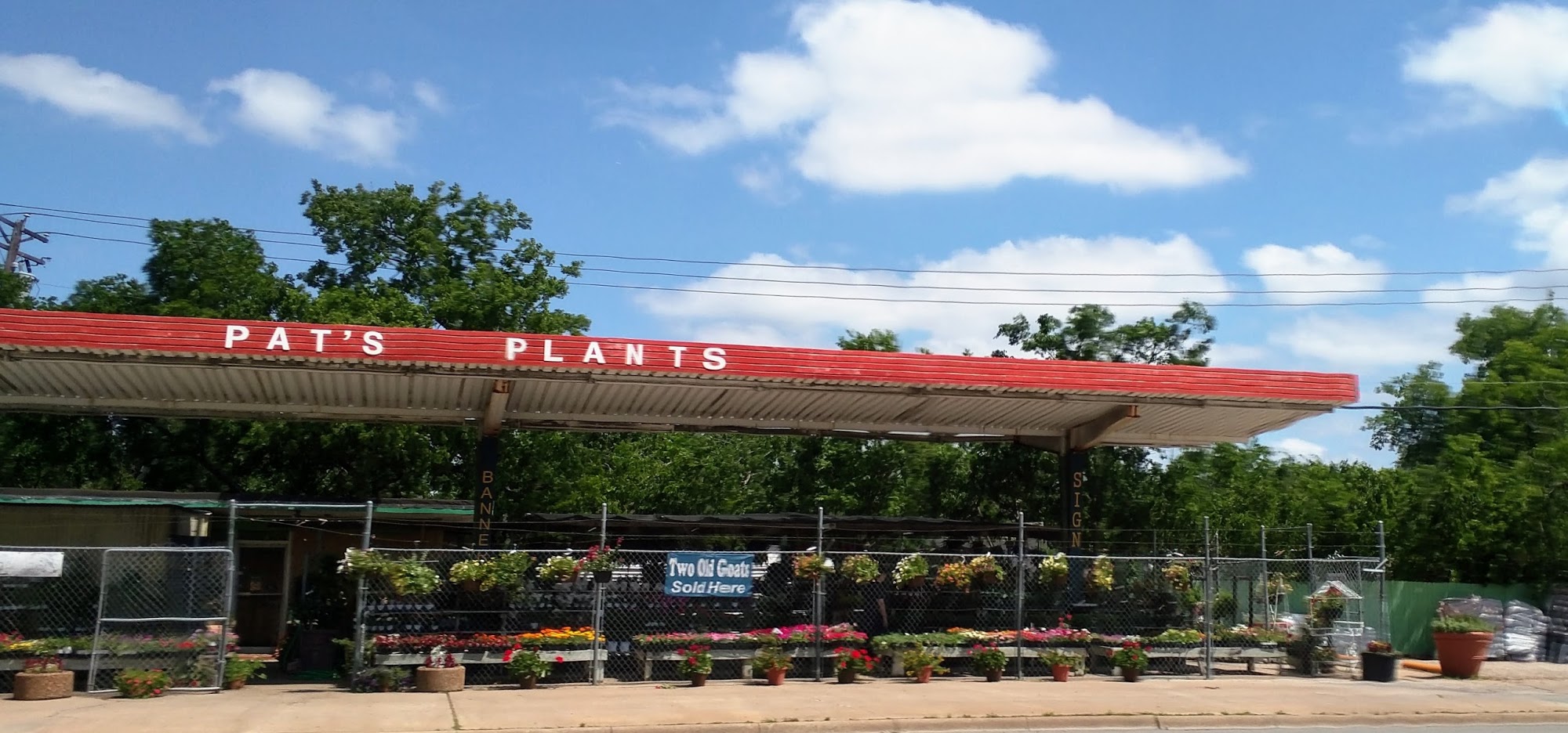 Pat's Plants