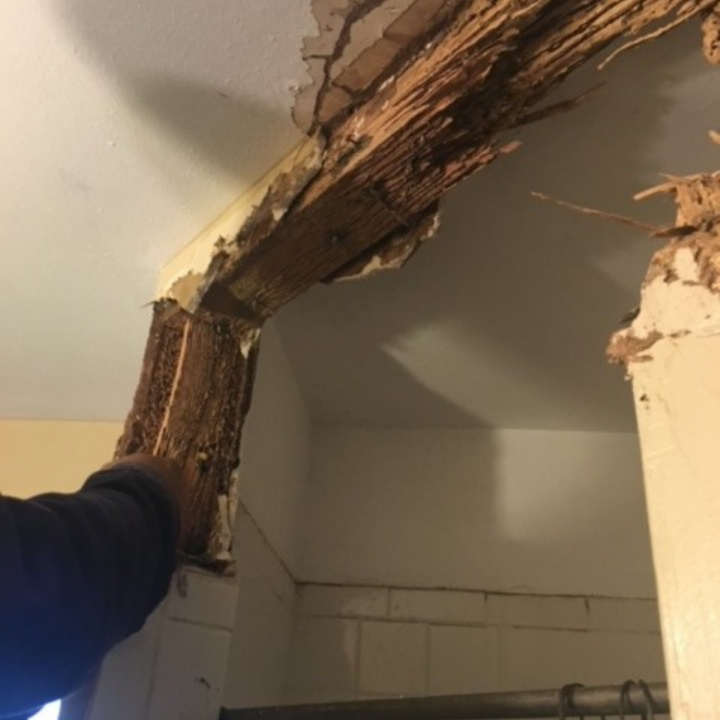 Photo credit: nextdoor