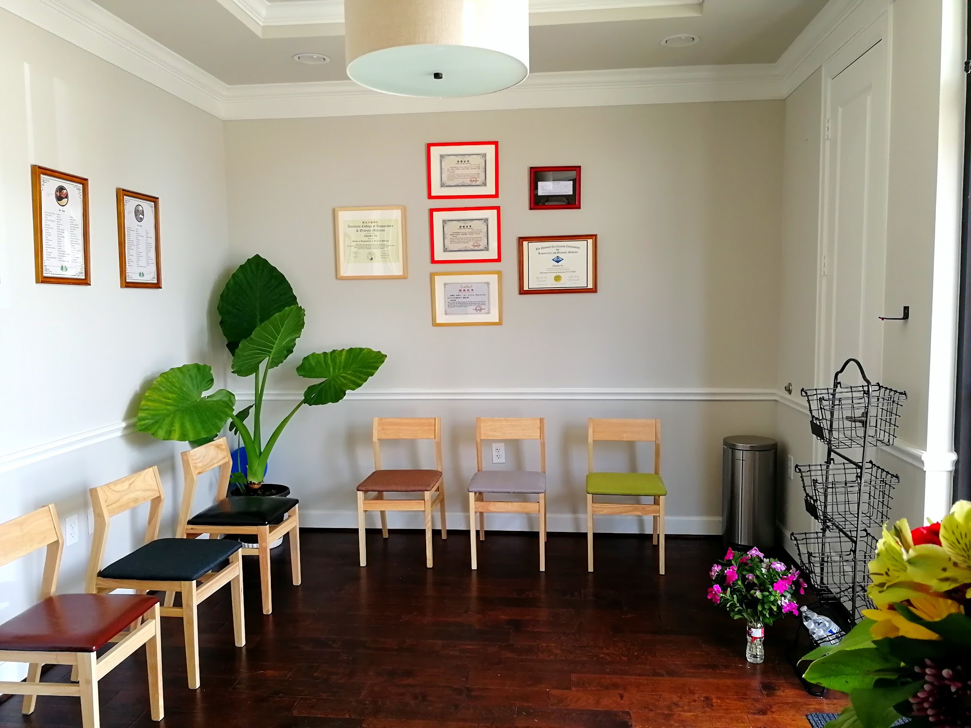 Oriental Acupuncture & Herb Clinic