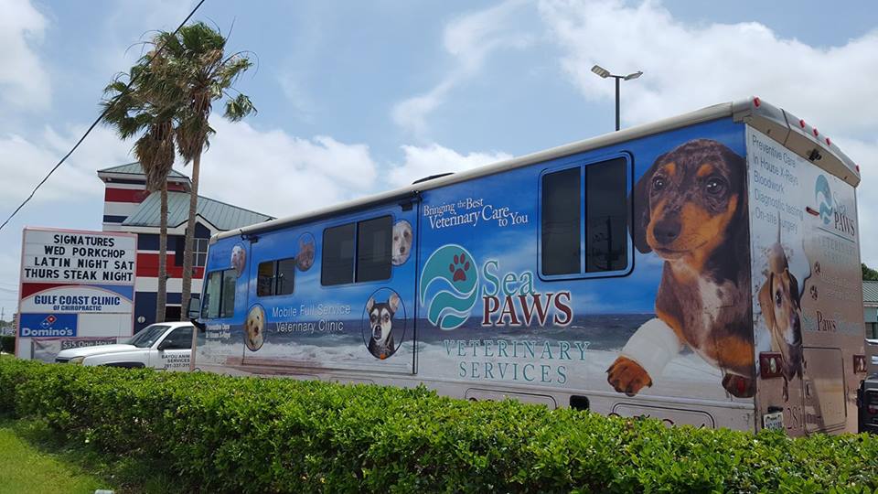 Sea Paws Veterinary Services