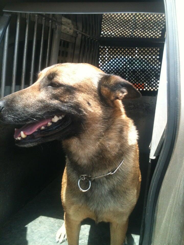 Photo credit: nextdoor