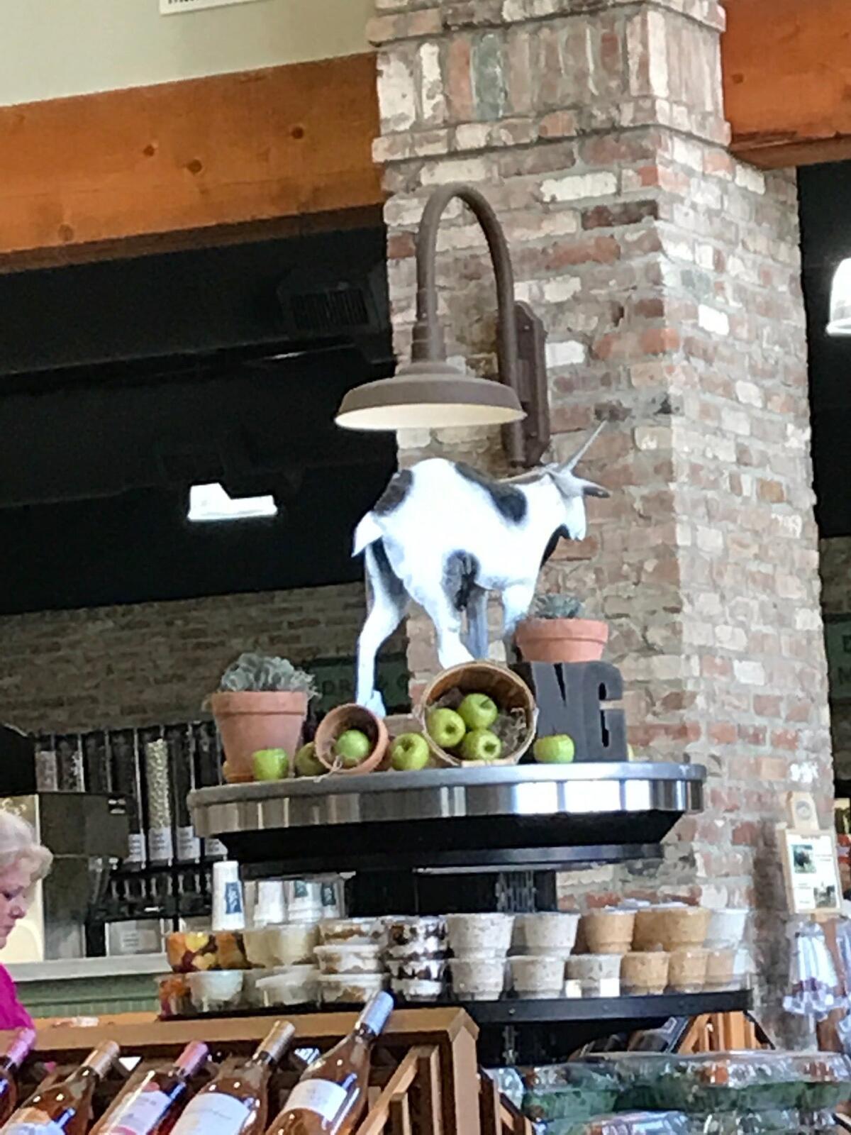 Photo credit: nextdoor