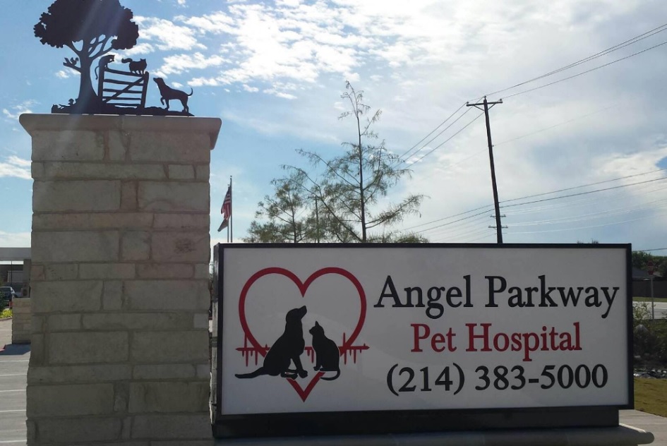 Angel Parkway Pet Hospital