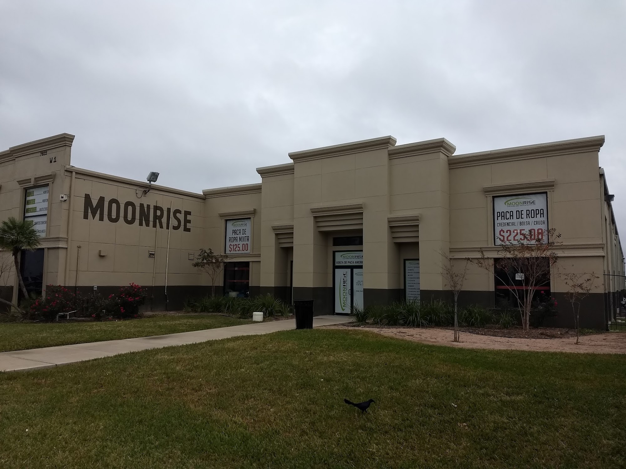 Moon Rise Trading Corp