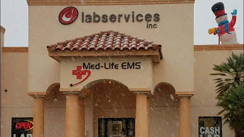 Lab Services Inc