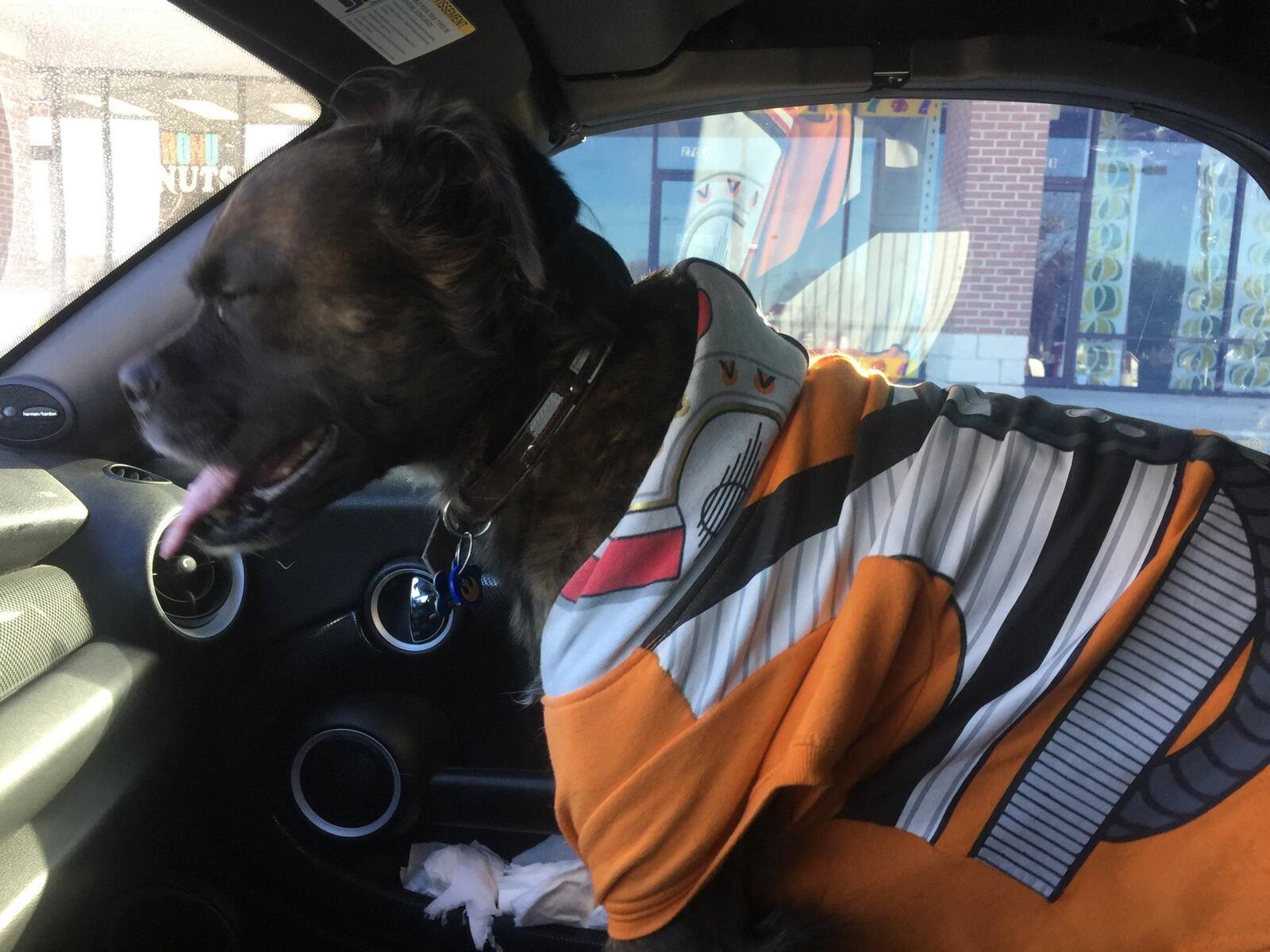 Photo credit: nextdoor