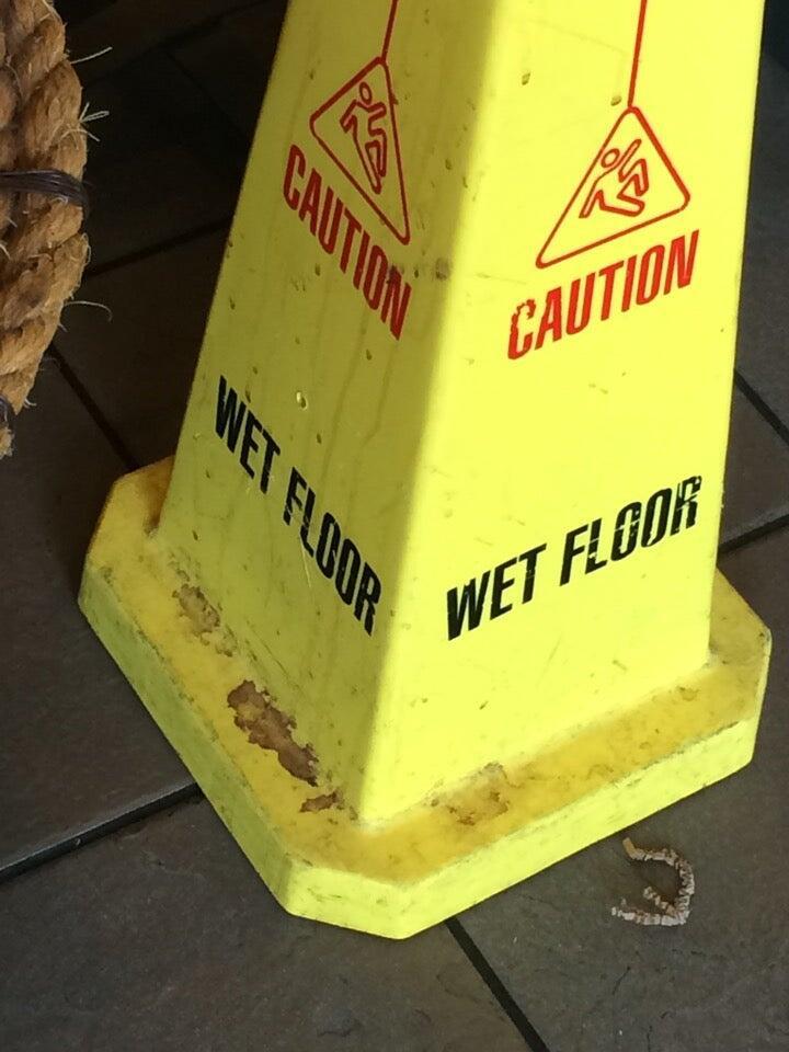 Photo credit: nextdoor