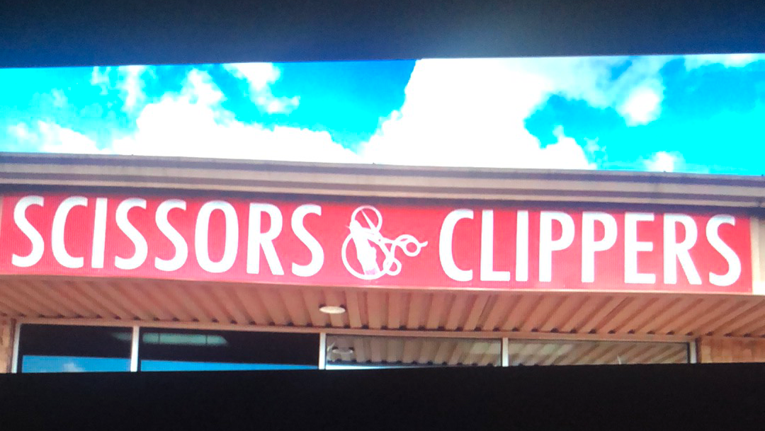Scissors and Clippers