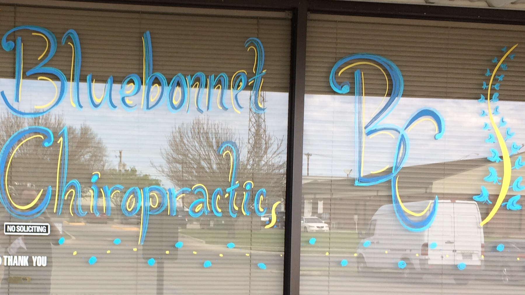 Bluebonnet Chiropractic