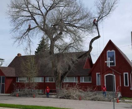 Photo credit: nextdoor