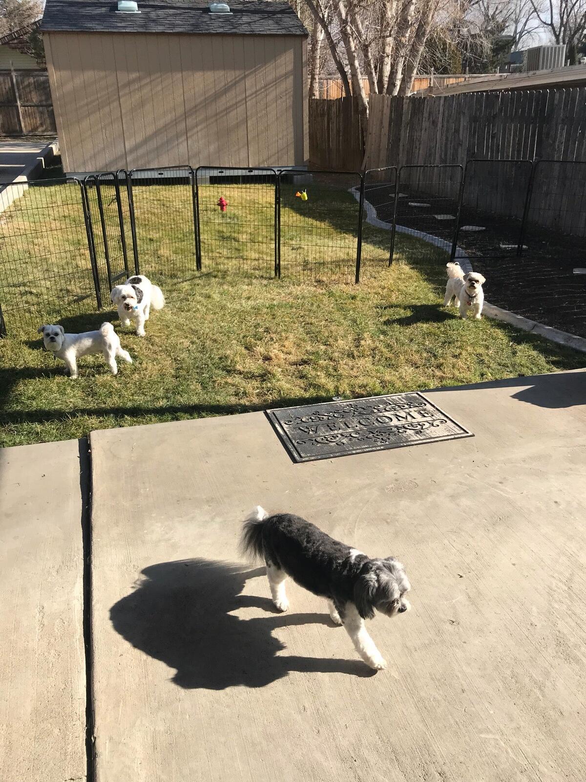 Photo credit: nextdoor