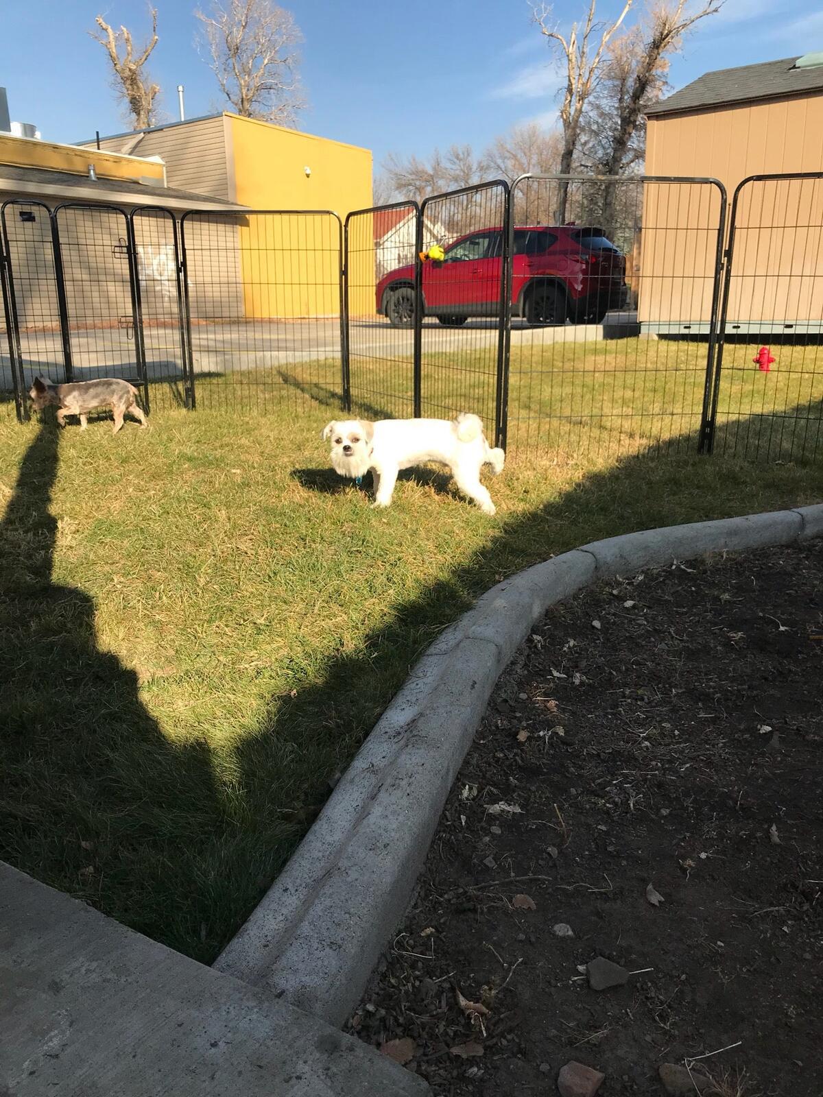 Photo credit: nextdoor