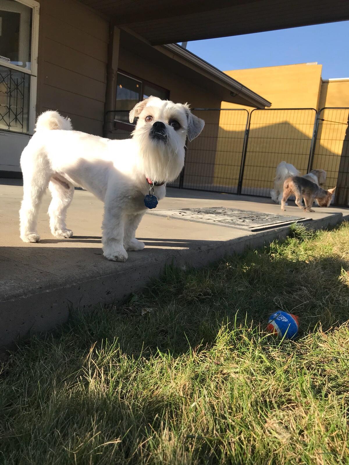 Photo credit: nextdoor