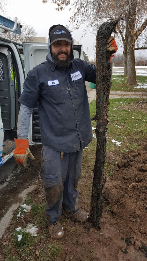 Photo credit: nextdoor