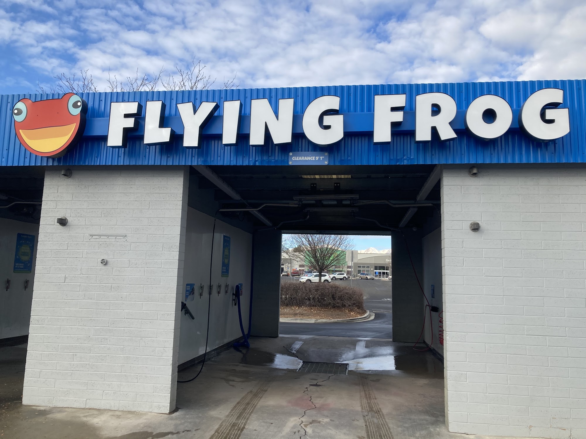 Flying Frog Car Wash