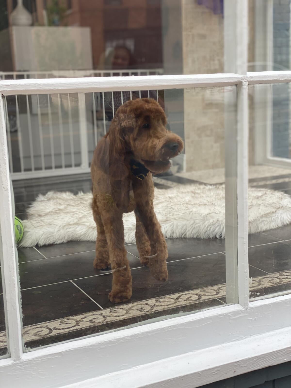 Photo credit: nextdoor