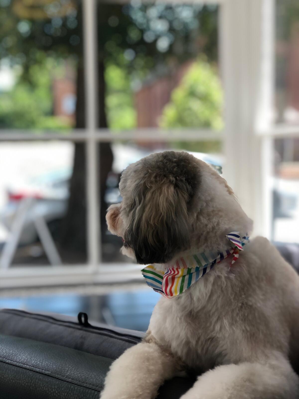 Photo credit: nextdoor