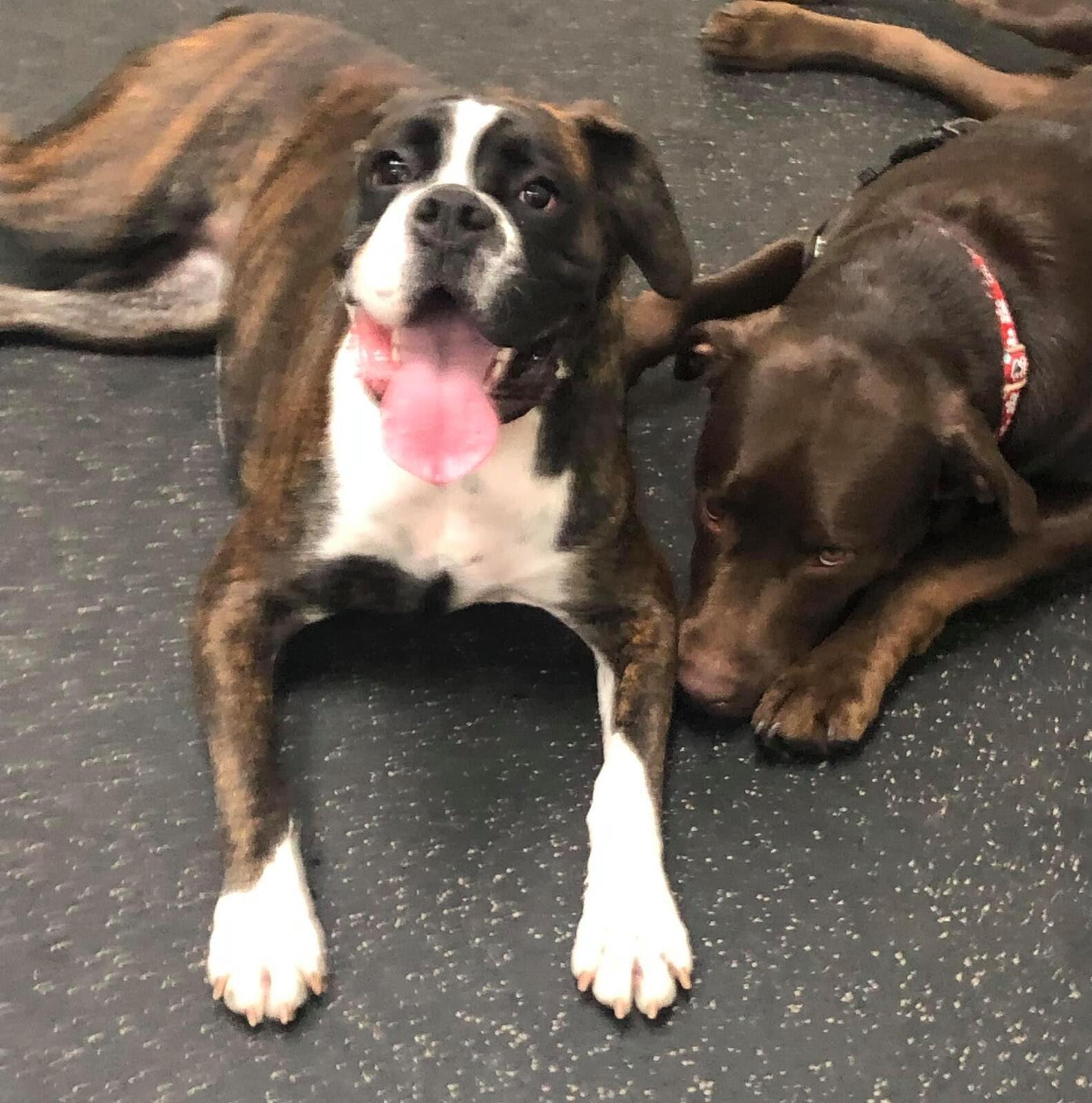 Photo credit: nextdoor