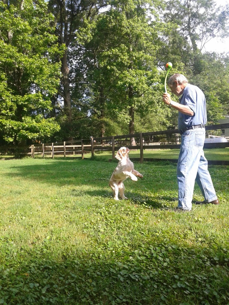 Photo credit: 