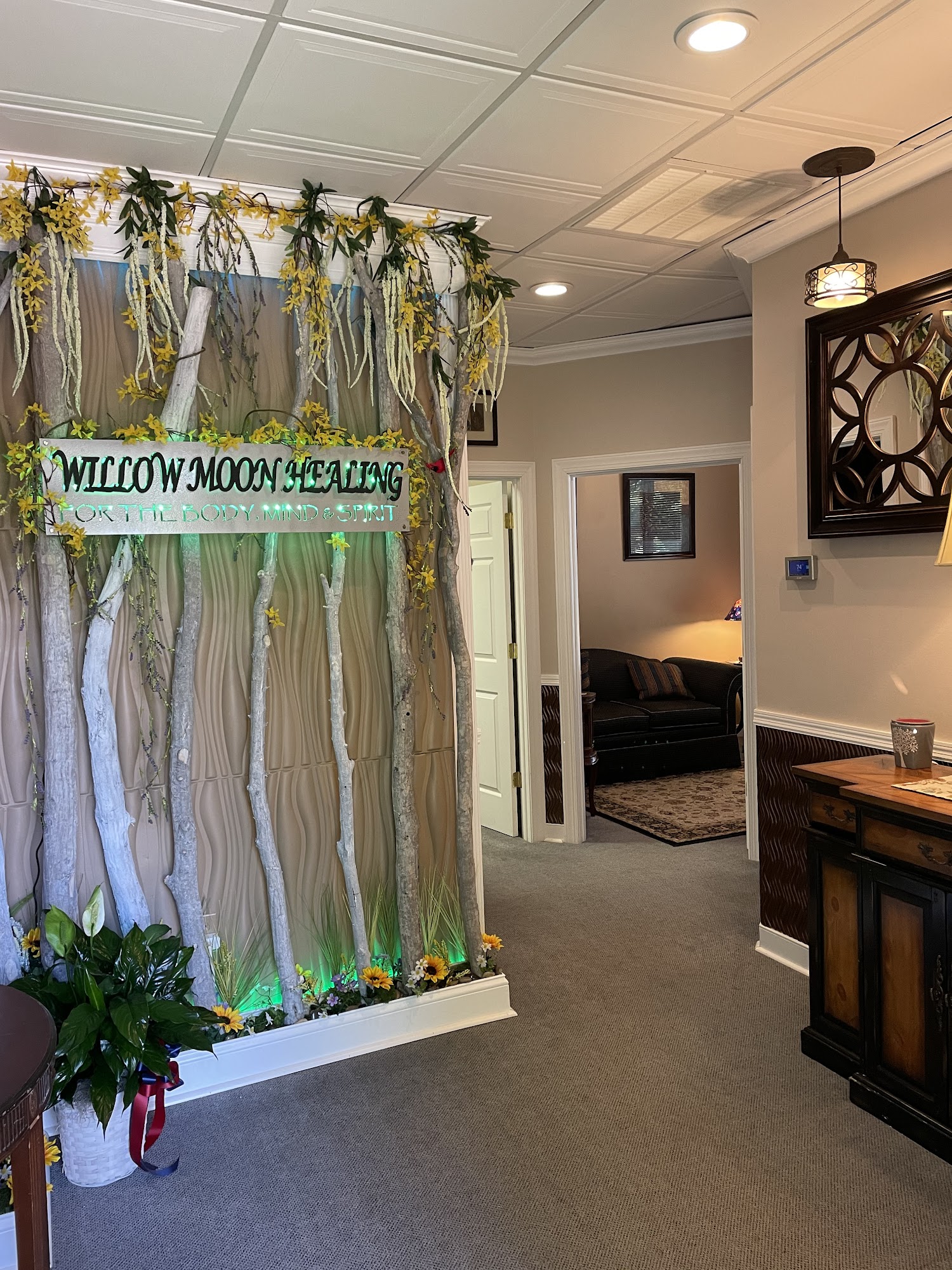 Willow Moon Healing, LLC