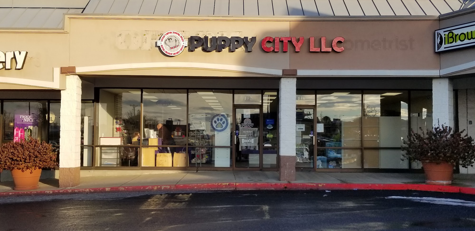 Puppy City LLC