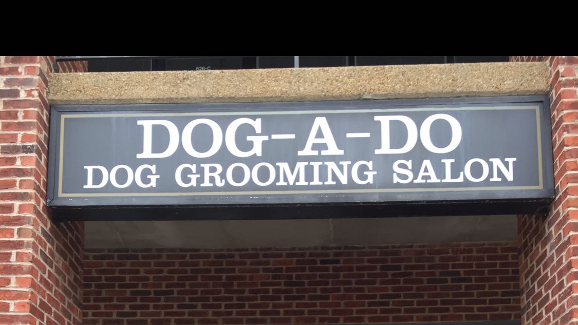 Dog a Do Salon