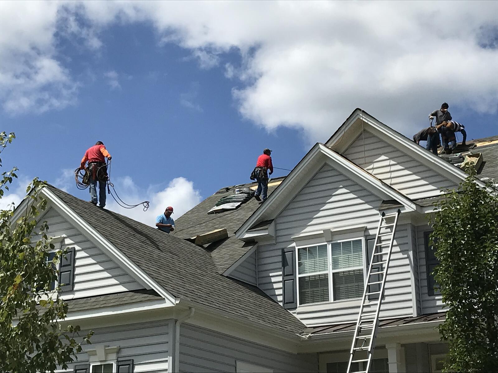 Photo credit: nextdoor