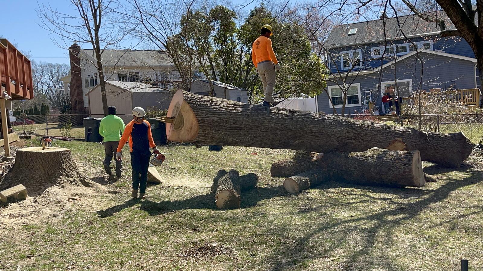 Photo credit: nextdoor